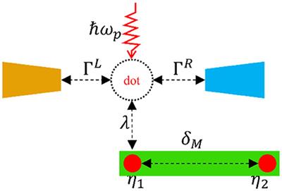 Photon-Assisted Seebeck Effect in a Quantum Dot Coupled to Majorana Zero Modes